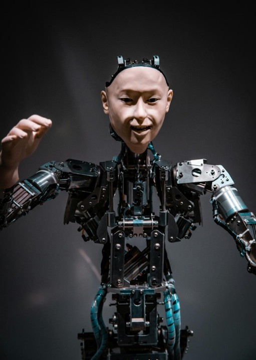 Batch export preview